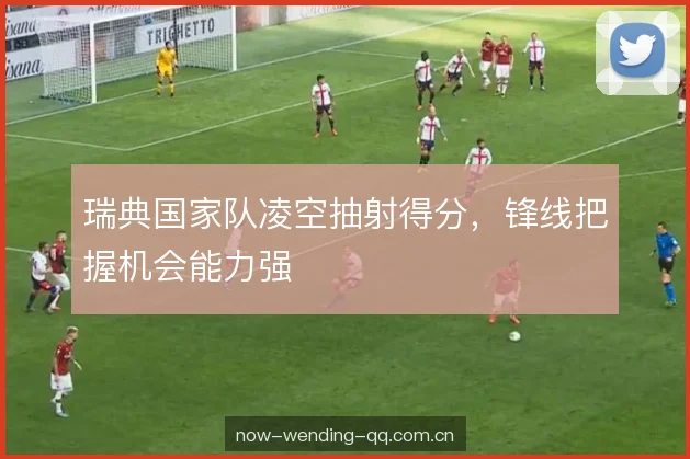瑞典国家队凌空抽射得分，锋线把握机会能力强